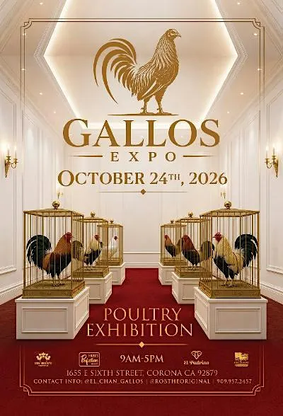 Gallos Expo