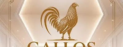 Gallos Expo
