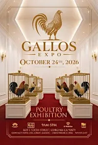 Gallos Expo