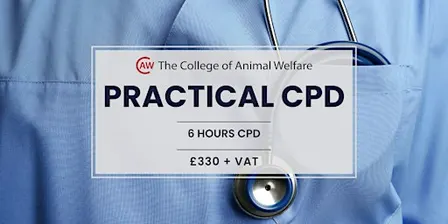 Practical Leadership in Practice - Huntingdon