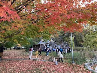 Fall Fest