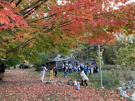 Fall Fest