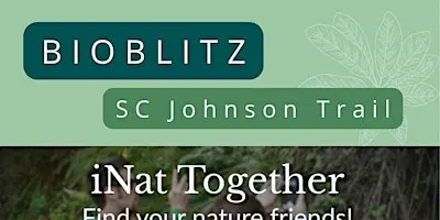 Mini-BioBlitz in Brantford