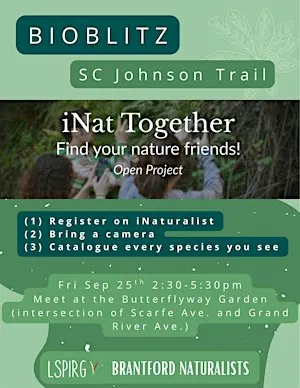 Mini-BioBlitz in Brantford