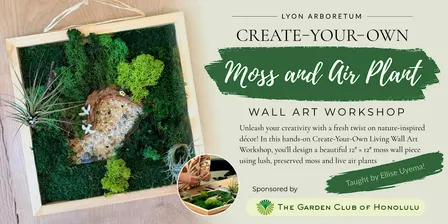 Create-Your-Own Moss and Air Plant Wall Art Workshop