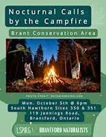 Nocturnal Calls by the Campfire