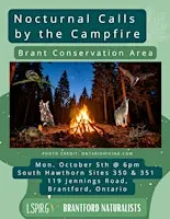 Nocturnal Calls by the Campfire
