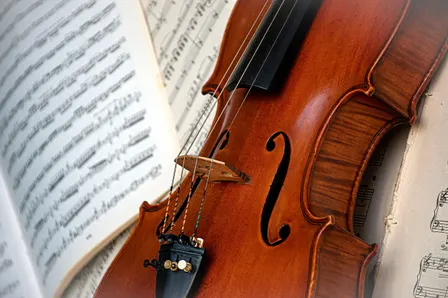 Chamber Music Concert