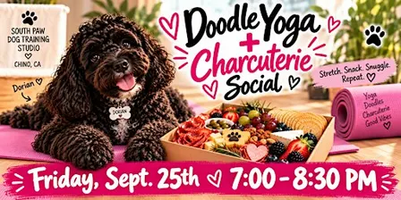 Doodle yoga + charcuterie social