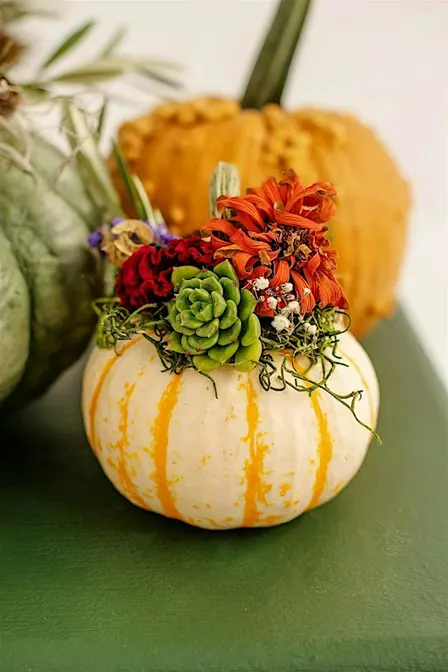 (10/27) Fall Pumpkins & Perfume Night at Streetside Brewery
