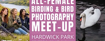 All-Female Birding & Bird Photography Morning