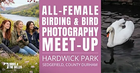 All-Female Birding & Bird Photography Morning
