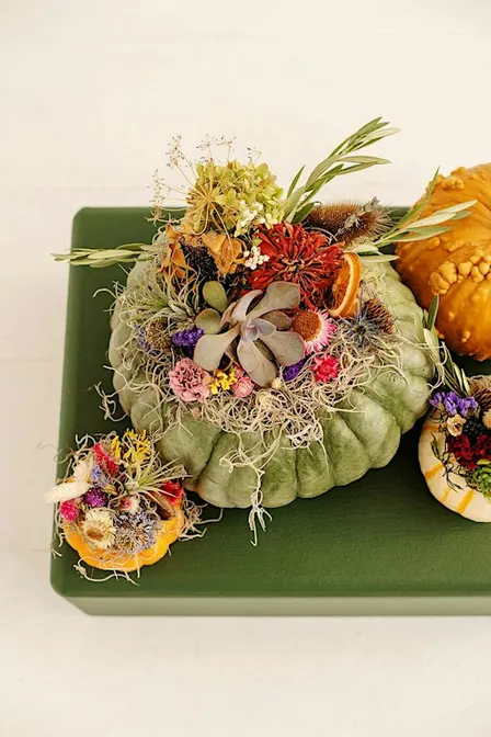 Pretty Little Pumpkins: A Fall Succulent Workshop