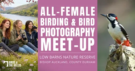 All-Female Bird & Bird Photography Morning