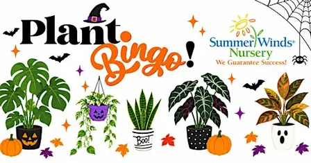 Halloween Plant Bingo at SummerWinds Nursery in Phoenix, AZ