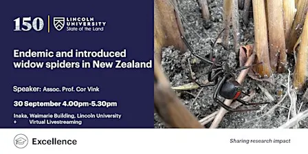 Endemic and introduced widow spiders in New Zealand
