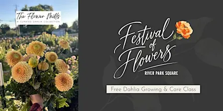 Dahlias 101: Growing and Care Class with The Flower Mills