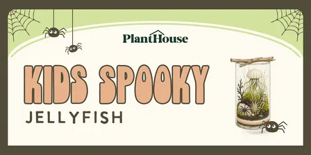 Kids Spooky Jellyfish Terrarium Workshop