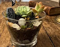 Mortuarium - Build Your Own Deadly Terrarium Workshop