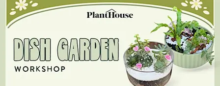 Dish Garden Workshop