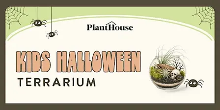 Kid's Halloween Terrarium  Workshop