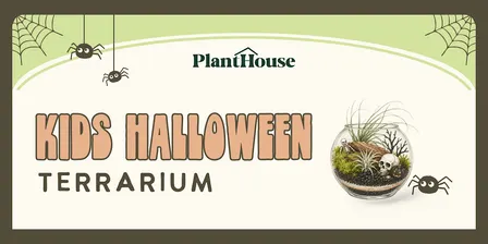 Kid's Halloween Terrarium  Workshop