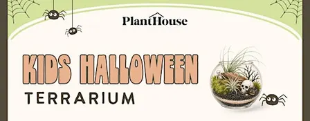 Kid's Halloween Terrarium  Workshop
