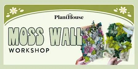 Moss Wall Workshop