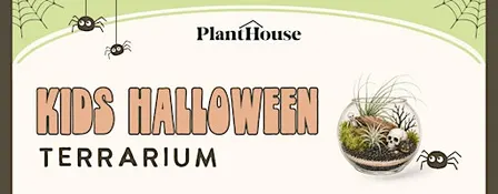 Kid's Halloween Terrarium  Workshop