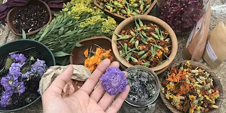 Creating Color with Natural Dyes