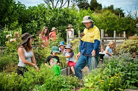 Community Garden Tour