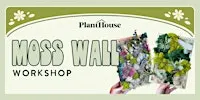 Moss Wall Workshop
