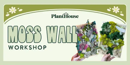 Moss Wall Workshop