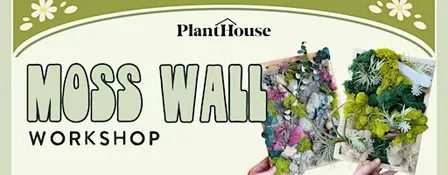 Moss Wall Workshop