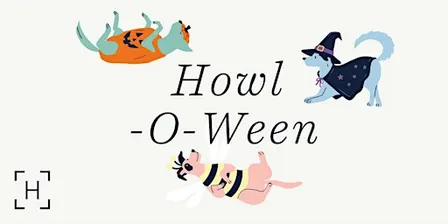 Howl-O-Ween Yappy Hour at Hilldale