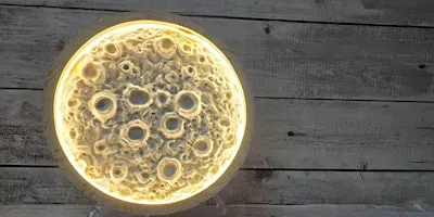 Fall Harvest Light Up Moon - September 24th Woods Boss Brewing