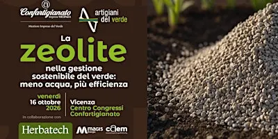 La zeolite nella gestione sostenibile del verde: meno acqua, più efficienza