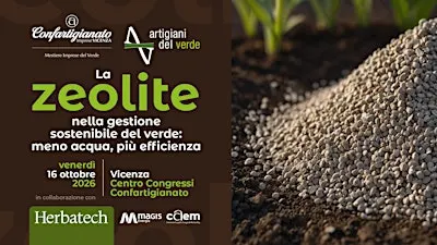 La zeolite nella gestione sostenibile del verde: meno acqua, più efficienza