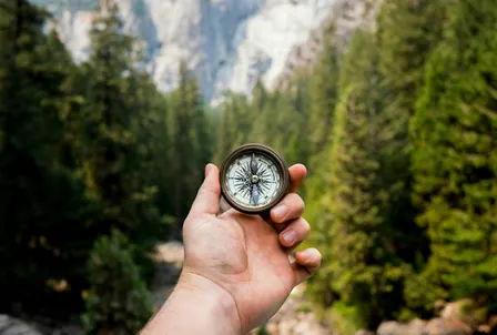 Brand Compass - Alignment Before Acceleration