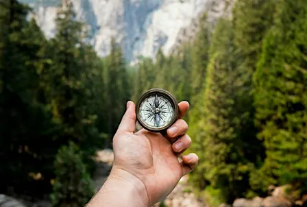 Brand Compass - Alignment Before Acceleration