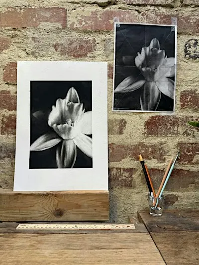 Drawing in Charcoal: Light, Shadow & Form