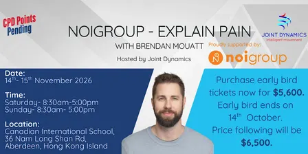 Noigroup - Explain Pain