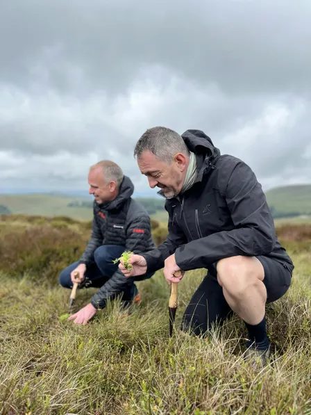 Sphagnum Moss Planting in the Goyt Valley, Derbyshire   Saturday October 31
