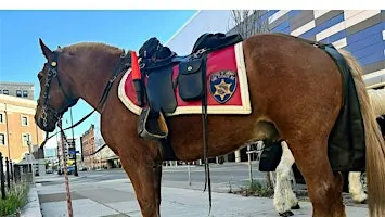ECSO Mounted Unit Trivia Night