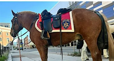 ECSO Mounted Unit Trivia Night