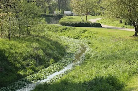 Balade à travers la vallée du Geleytsbeek
