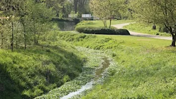 Balade à travers la vallée du Geleytsbeek