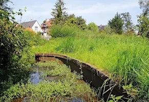 A la découverte de la vallée du Molenbeek / Ontdek de Molenbeekvallei in Sint-Agatha-Berchem