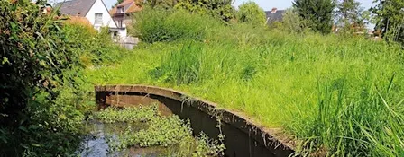 A la découverte de la vallée du Molenbeek / Ontdek de Molenbeekvallei in Sint-Agatha-Berchem