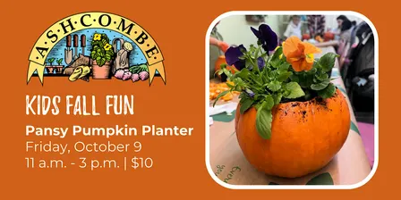 Kids Pansy Pumpkin Planter